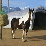 호텔 Eckwirt 상트칸지안