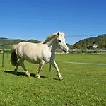 Eckwirt 3* 상트칸지안