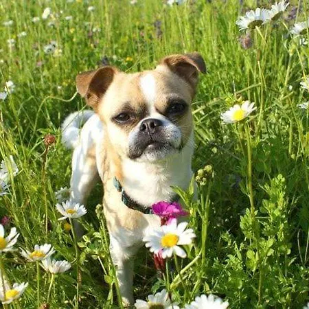 Eckwirt Sankt Kanzian am Klopeiner See