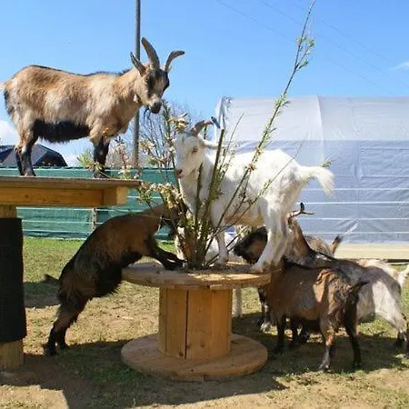 Bed & Breakfast Eckwirt