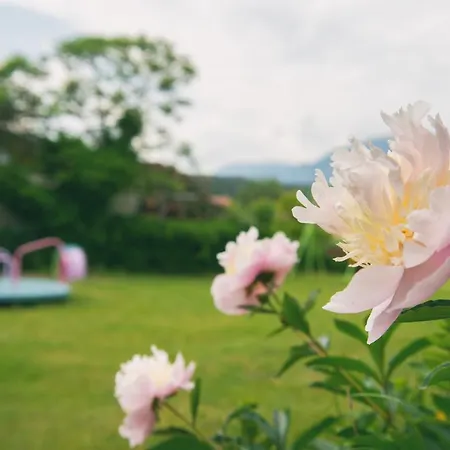 Hotel Bed & Breakfast Eckwirt 3*