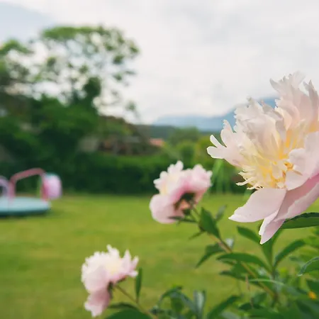 Bed & Breakfast Eckwirt Hotel