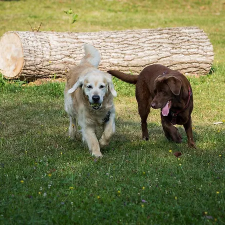 Hotel Bed & Breakfast Eckwirt