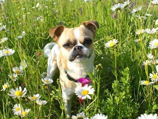 Eckwirt Санкт-Канциан