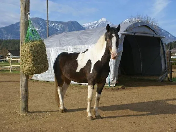 מלון Eckwirt סנט קנזיאן
