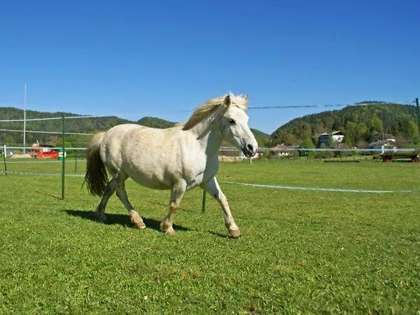 Eckwirt 3* Санкт-Канциан