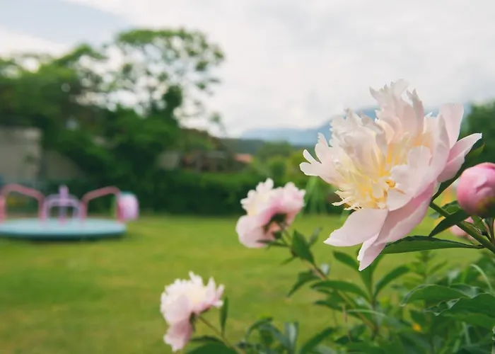 Отель Eckwirt 3*